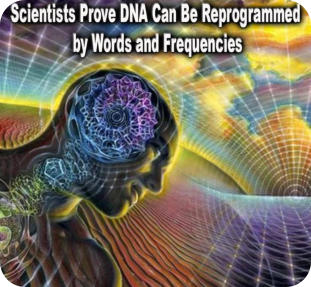 Picture DNA Reprogrammed